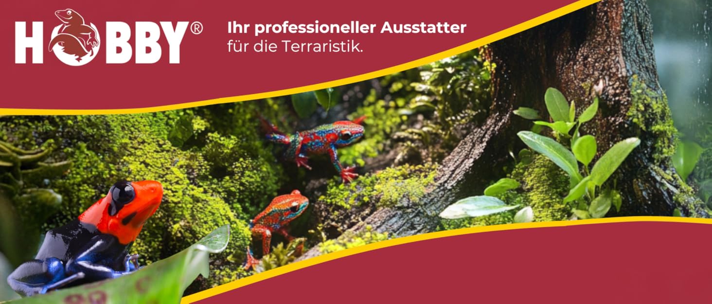 Desktop -Hintergrund - Markengeschichte - Hobby -Terraristik