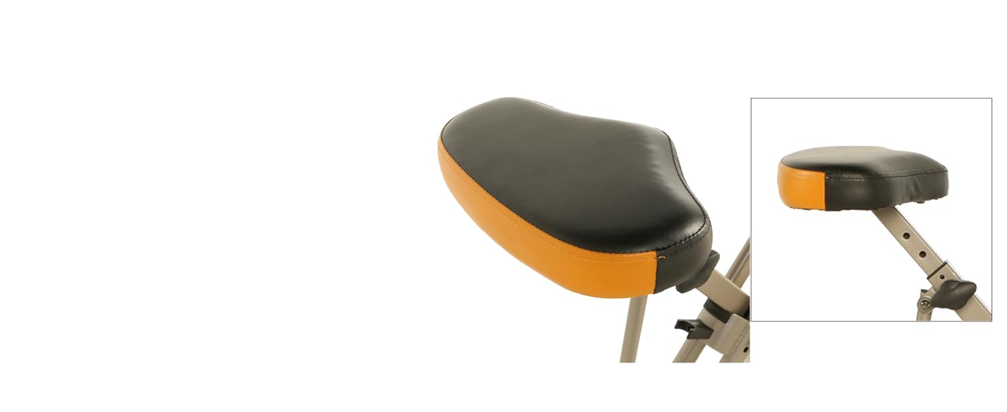 exerpeutic bluetooth smart cloud high capacity recumbent bike