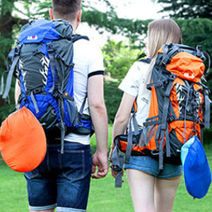 portable hammock with net