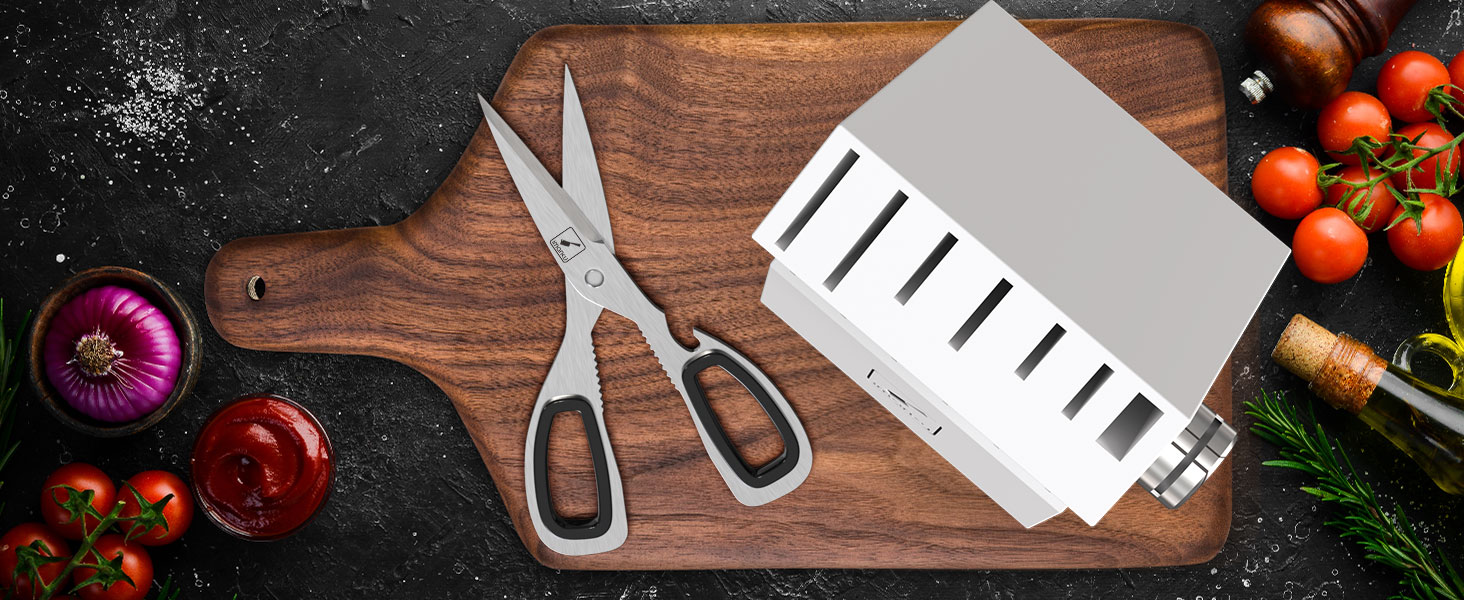 shear&knife block