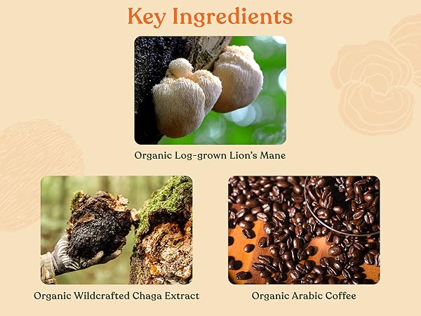 Organic log grown lions mane, organic chaga extract, organic arabica coffee