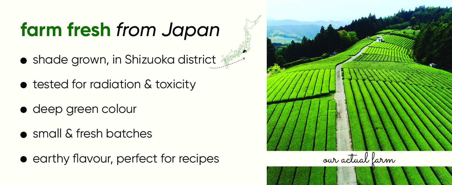 Culinary Matcha, Tencha, Green Tea, Japanese Matcha, Premium Matcha
