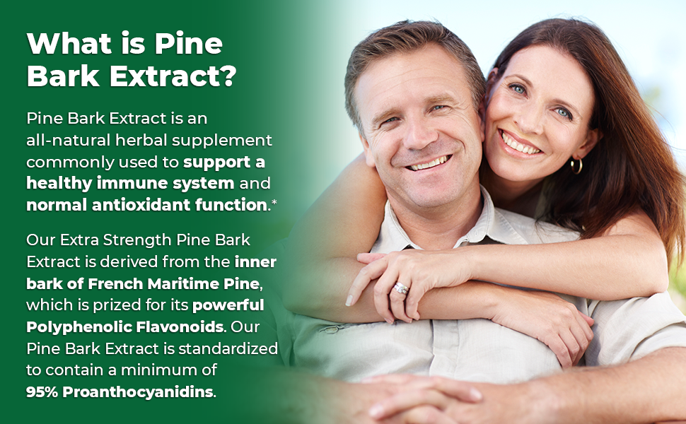 Zazzee Extra Strength French Maritime Pine Bark Extract 350 mg Per