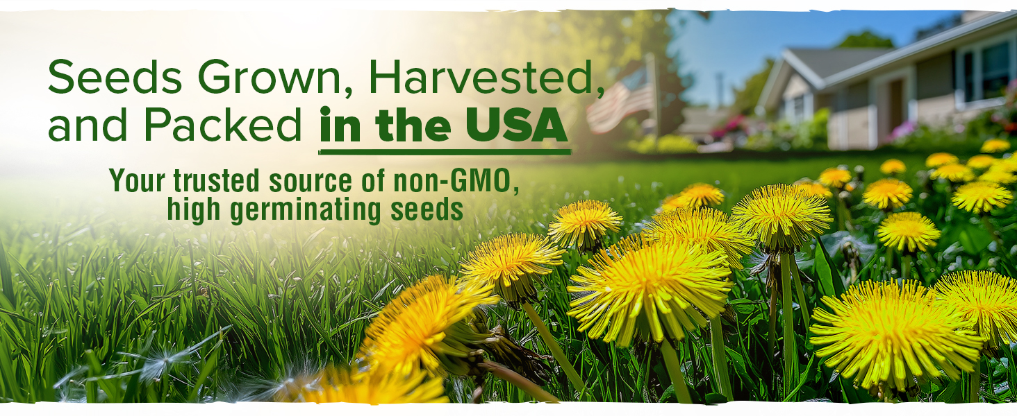 Large manufacture image 6