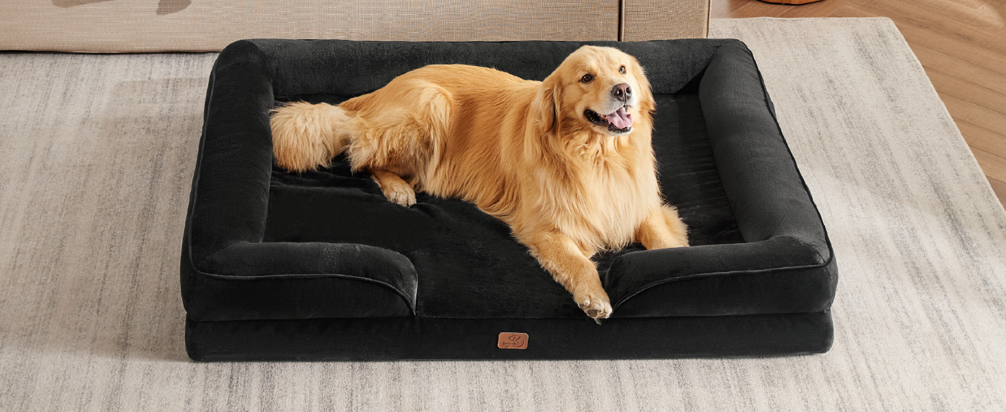 Großes Aufladen Hunderebett mit Erhöhten Sitzen und Gepolstertem Boden. AußenseTeit aus Schwarzem Stoff. Golden Retriever-Hund, der Bequem auf dem Bett und Seine Grö