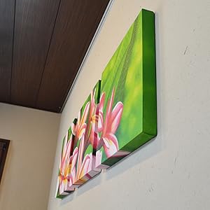 バリ絵画　3点セット　アートパネル　絵画　インテリア　壁掛け Amazon.co.jp: バリ 絵画 3枚セット 花の絵 3連 インテリア 花
