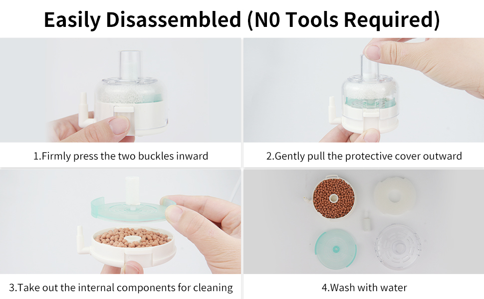 Disassembly & Cleaning Steps