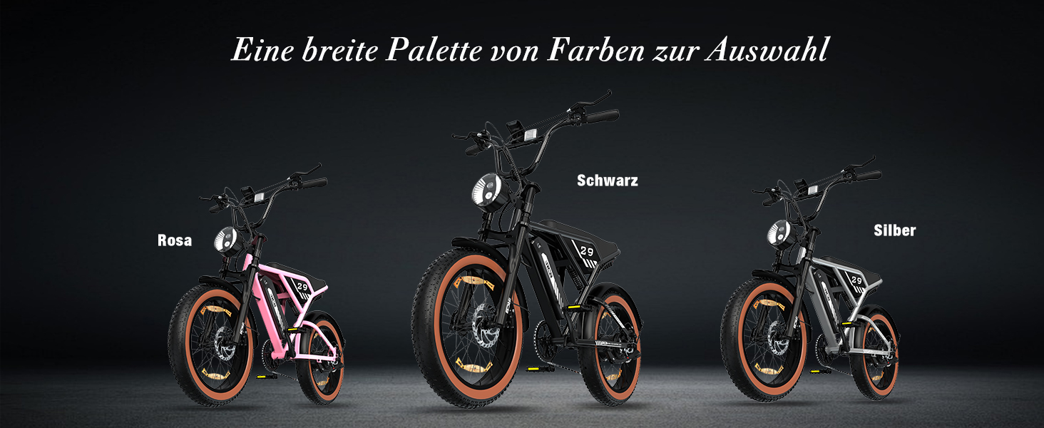 e bike
