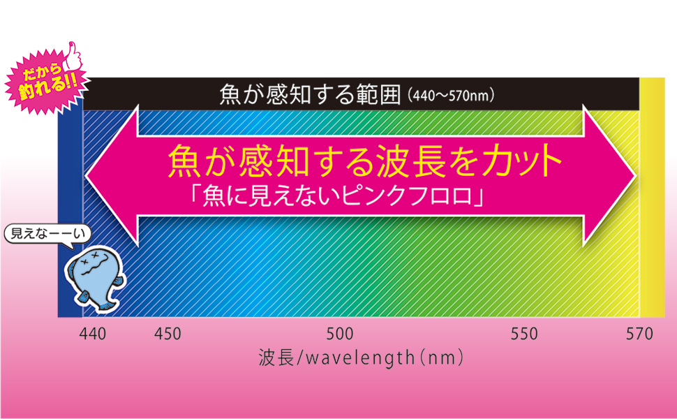 ピンクフロロ_チャート_比較無し