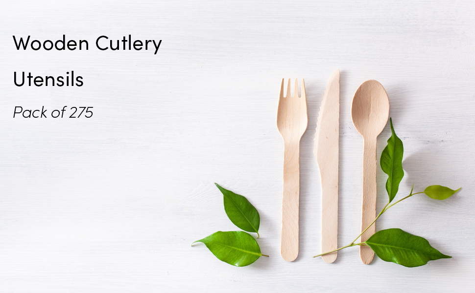 Disposable Wooden Cutlery 220 Pack Biodegradable Utensils Eco