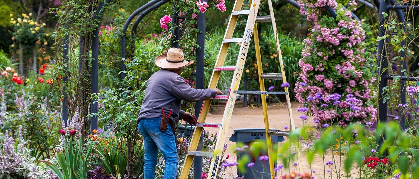 Garden Arbor