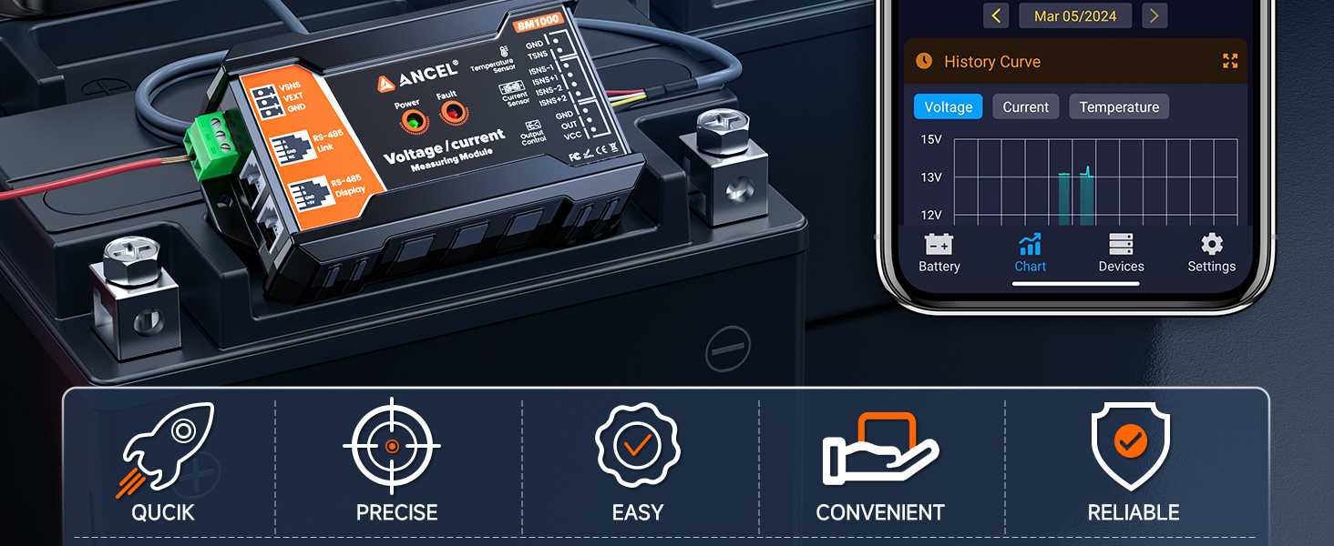 battery monitor with shunt