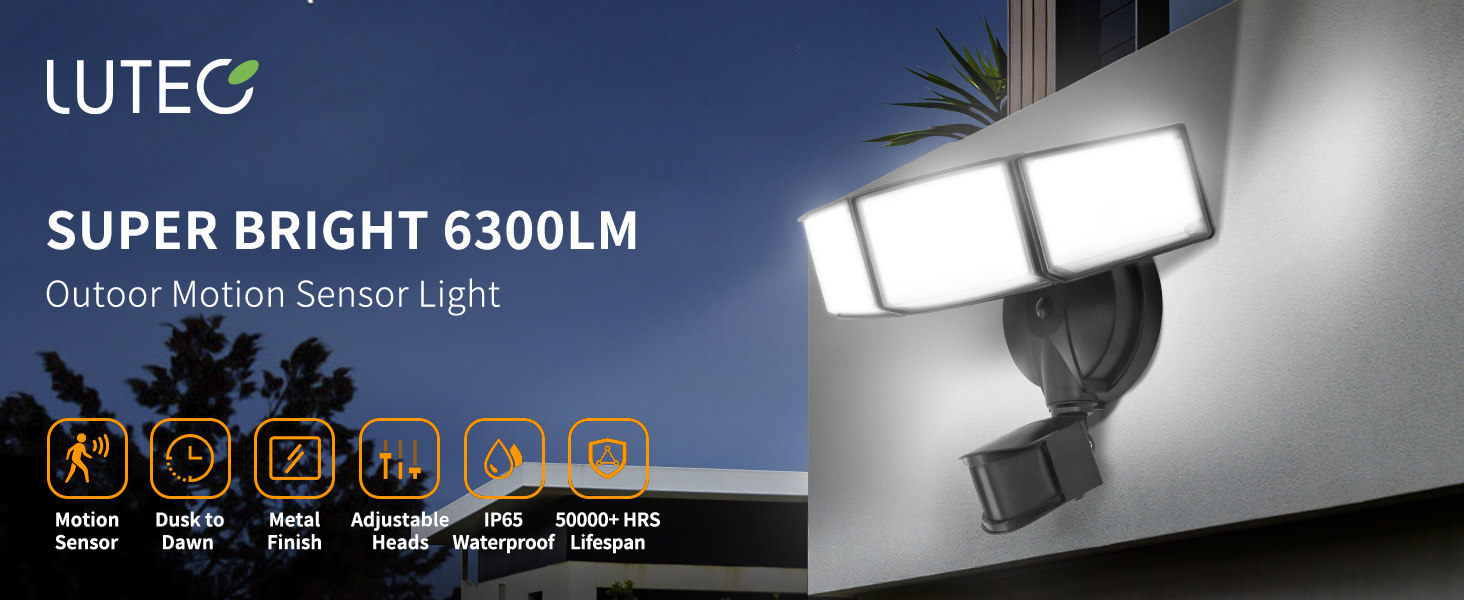 Outdoor Motion Sensor Light