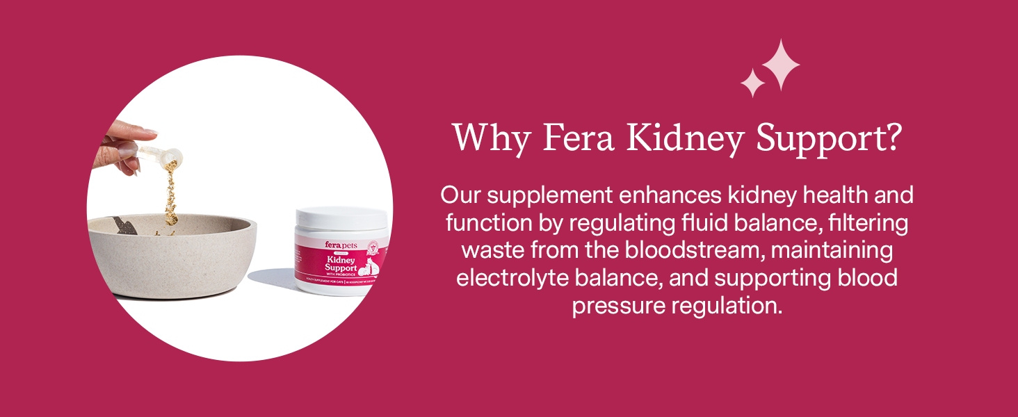 Enhances kidney health and function by regulating fluid balance, filtering waste, and more