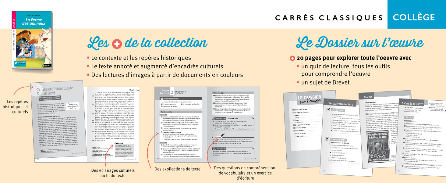 Amazon.fr Wiggins et le perroquet muet Nicodème, Béatrice Livres Amazon.fr Wiggins et le perroquet muet Nicodème, Béatrice Livres