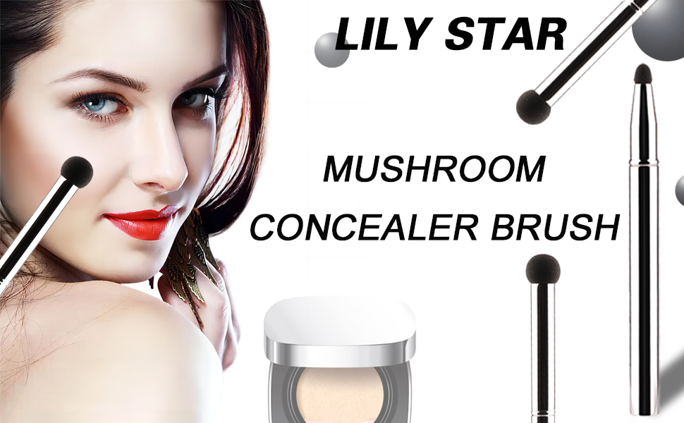 Lilystar 4 in1Makeup Sponge Under Eye Concealer Brush