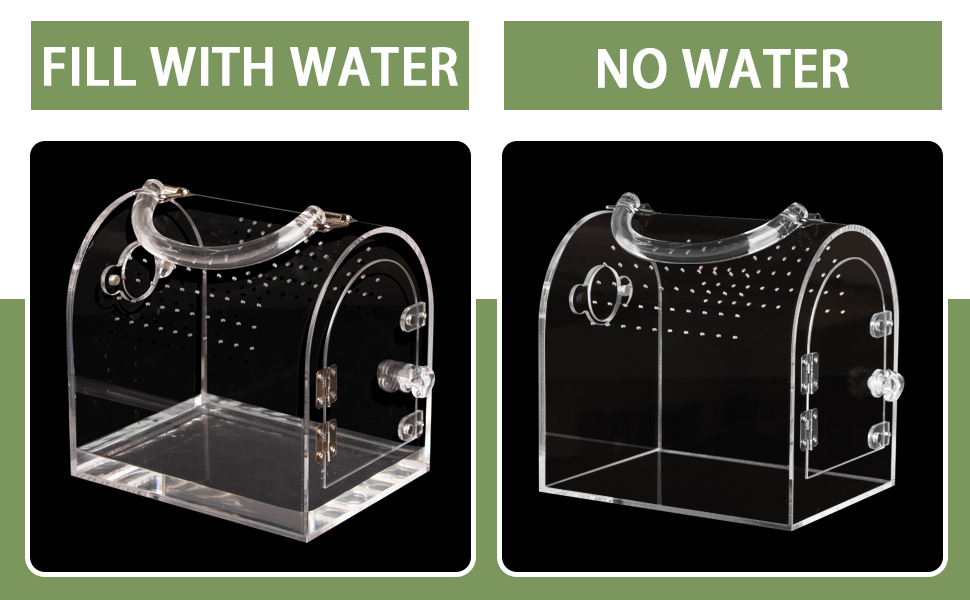 jumping spider hide live spiders terrarium reptile enclosure reptile terrarium hermit crab tank