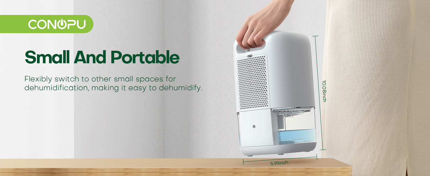 portable air purifier for the home