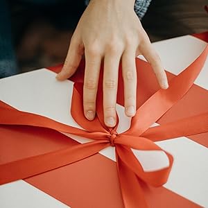 Wednesday Addams Dress Wednesday Addams Dress Wednesday Addams Dress Wednesday Addams Dress  Costume