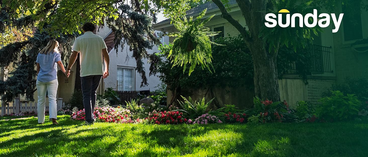 Easy come, easy grow with Sunday