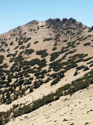 family hikes, day hikes, dog friendly hikes, short day hikes, long day hikes