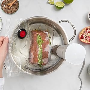 ZWILLING Enfinigy Sous Vide Stick : Amazon.ca: Home