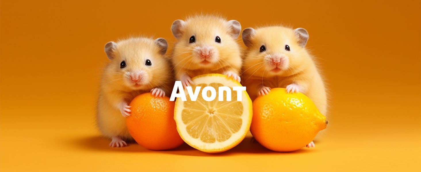 Guinea Pig Bed Mat with Pillow