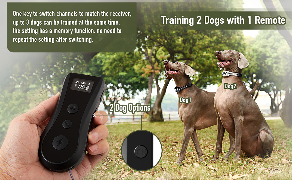 Petavern Dog Training Collar, Rechargeable Dog Shock