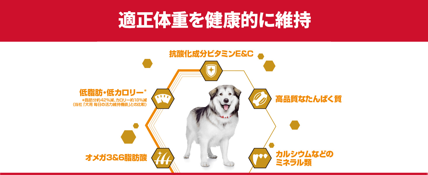 市場 サイエンス 皮膚サポート機能 柴犬 コーギー ダイエット プロ 犬用 小粒 1袋 ゴールデンレトリバー 1 6歳 1 6kg 市場 サイエンス 皮膚サポート機能 柴犬 コーギー ダイエット プロ 犬用 小粒 1袋 ゴールデンレトリバー 1 6歳 1 6kg