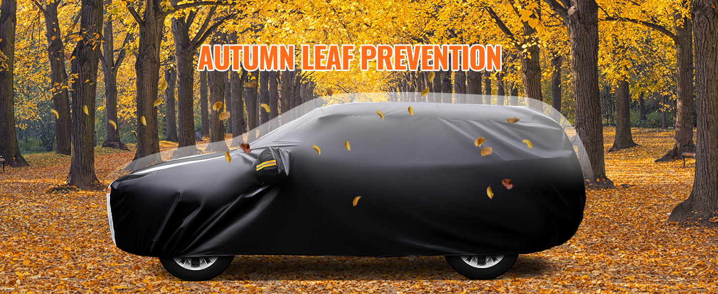 Text reads 'Image 5'. White background with simple text label.