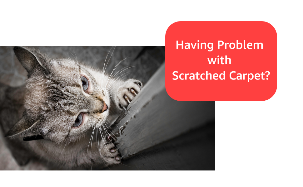 Cat Carpet Doorway Protector Carpet Scratch Stopper Stop Cats from Scratching, H
