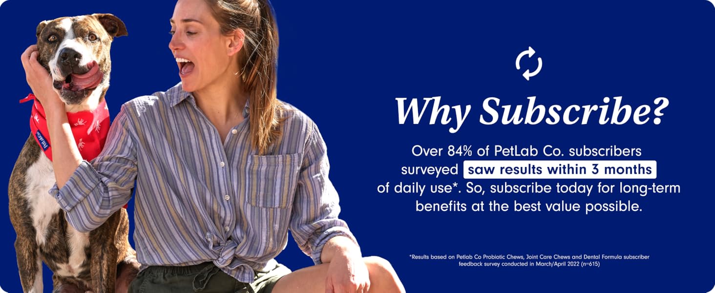 Probioticos para gatos