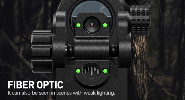 fiber optic