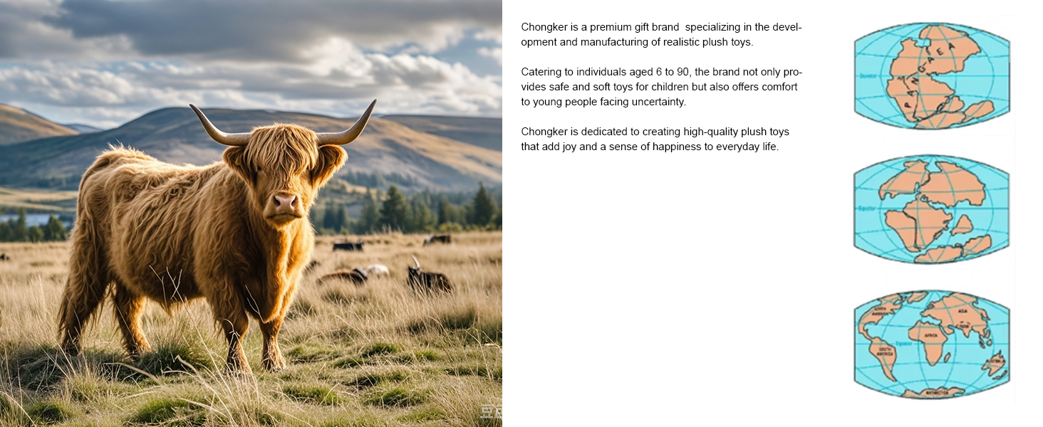 chongker highland cow