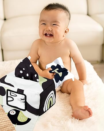 Baby Tissue Box Toy 