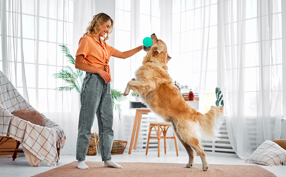 Squeaky Balls for Dogs, Interactive Toys for Large Dogs, Funny Heavy Duty Ball