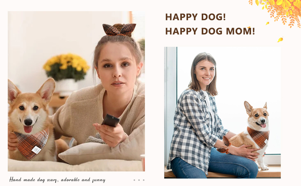 fworldnet027 dog bandana