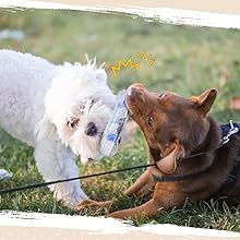 犬壊れないラバー製おもちゃ