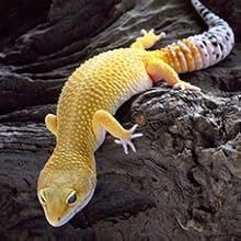 Small manufacture image 7