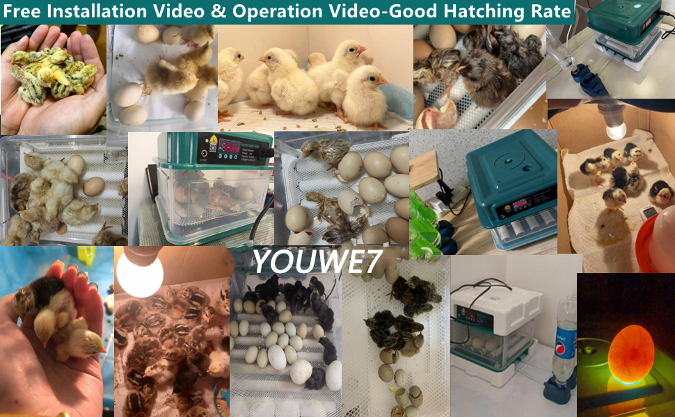 Large manufacture image 6