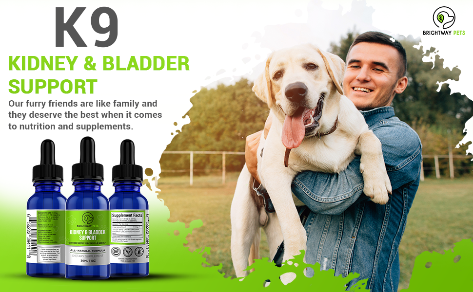 Kidney and Bladder Support Top Banner
