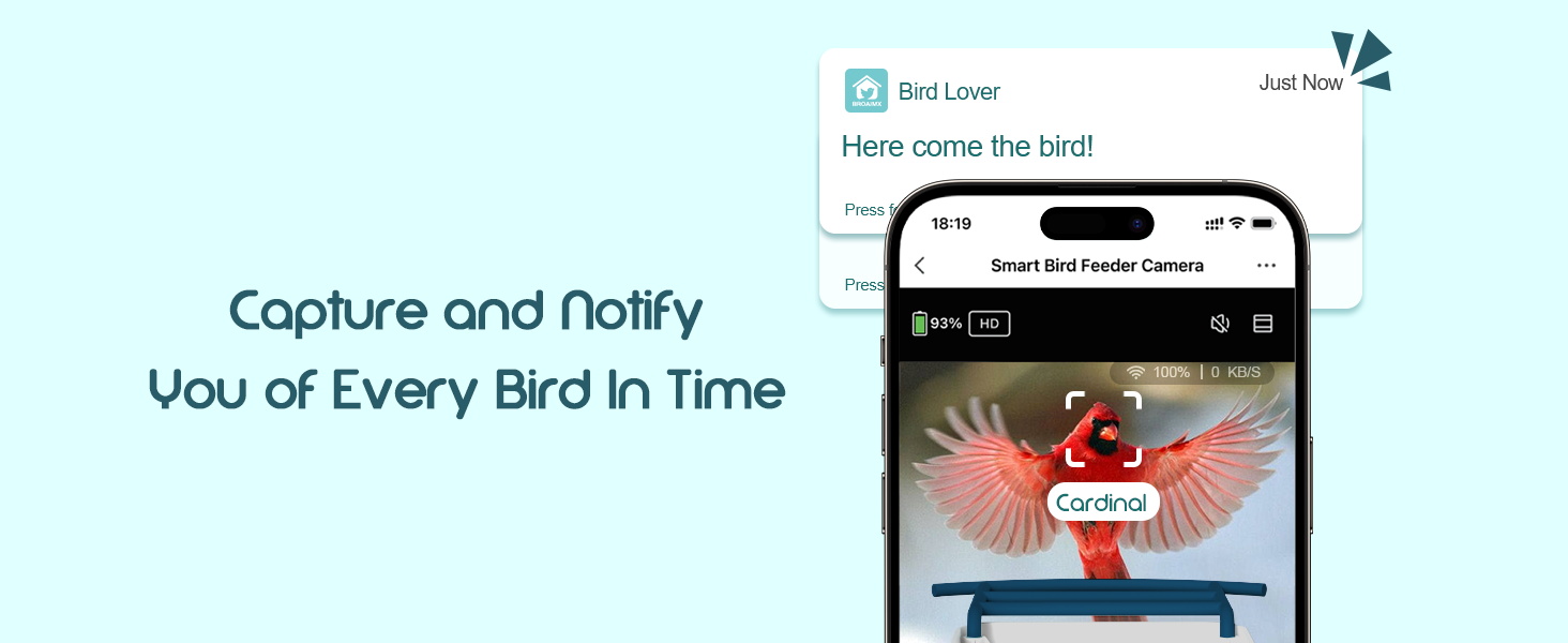 smart bird feeder with camera