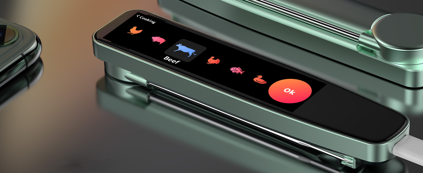 Smart Meat Thermometer