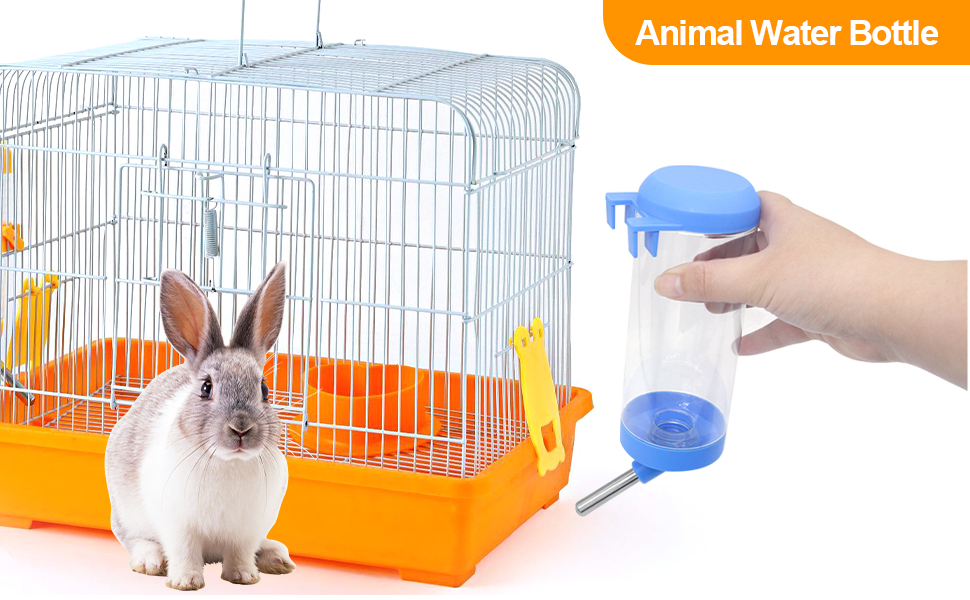 Animal Water Bottle 02