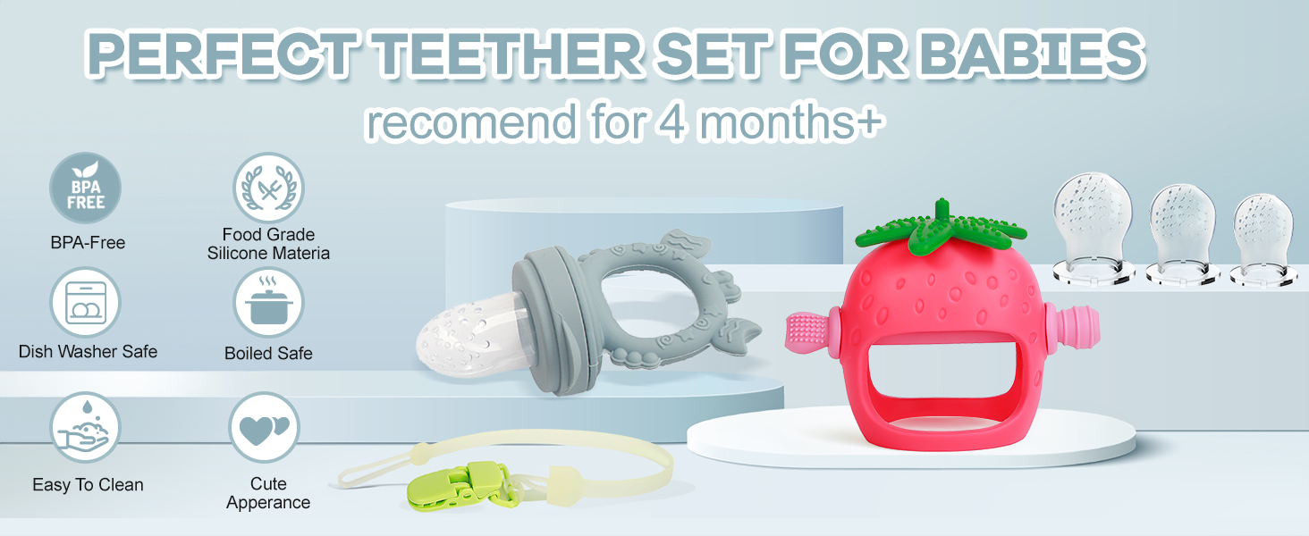 baby teether and fruit feeder