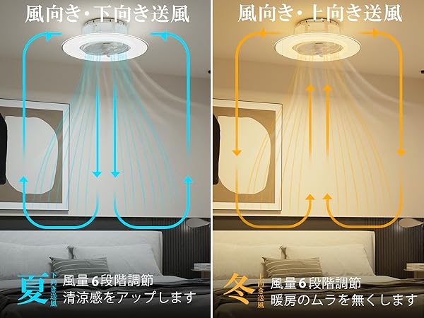 Amazon.co.jp : ORALUCE 導光板 シーリングファンライト 12畳 首