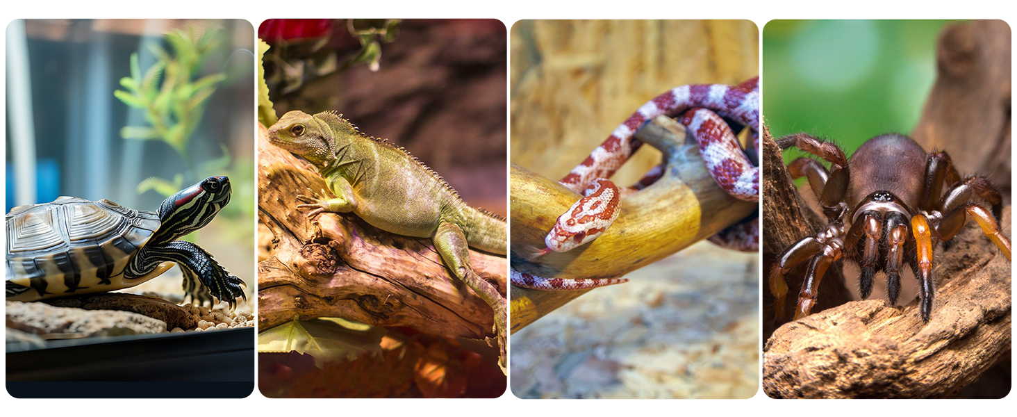 Reptile Tank Thermometer, Digital Terrarium Thermometer Hygrometer