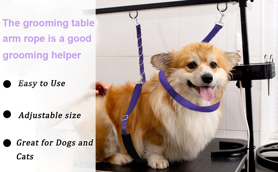 ASOCEA Dog Grooming Belly Strap Adjustable Nylon Loop for Pet Bath Dog Grooming Extension Grooming Table Arm Accessories for Small Medium Dogs Cat 20 para brazos de aseo para mascotas con cuerda morada y sistema de arnés montado en la mesa de aseo, diseñado para asegurar a las mascotas durante el
