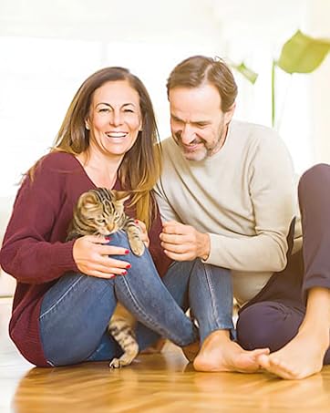 elizabethan collar for cat