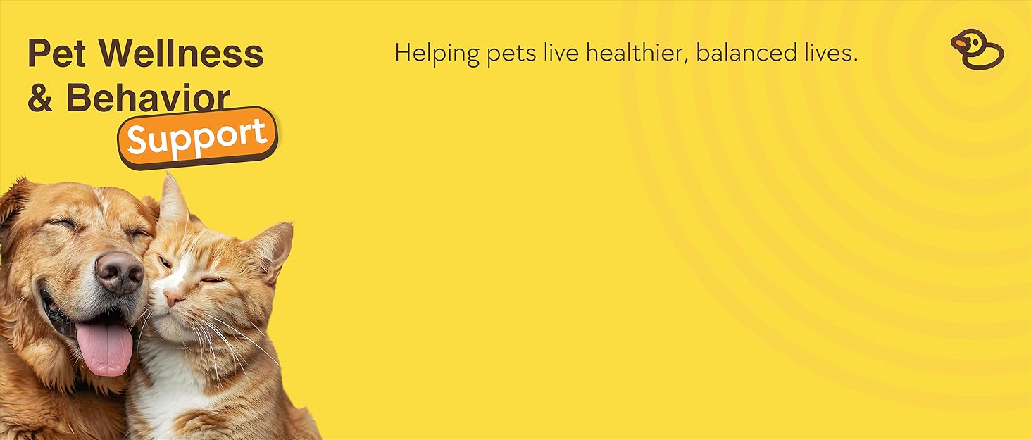 Pet Wellness &amp; Behavior